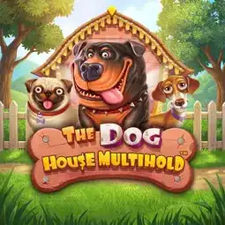 The Dog House Multihold game at Roo Casino for Australia players The Dog House Multihold game at Roo Casino for Australia players